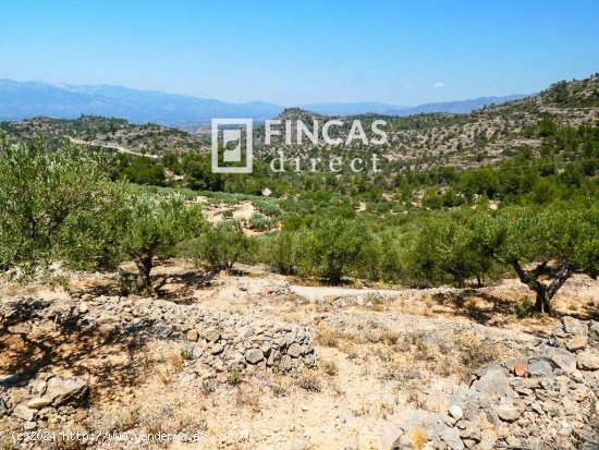 Finca en venta en Tortosa (Tarragona)