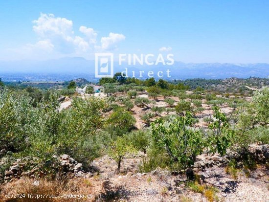 Finca en venta en Tortosa (Tarragona)