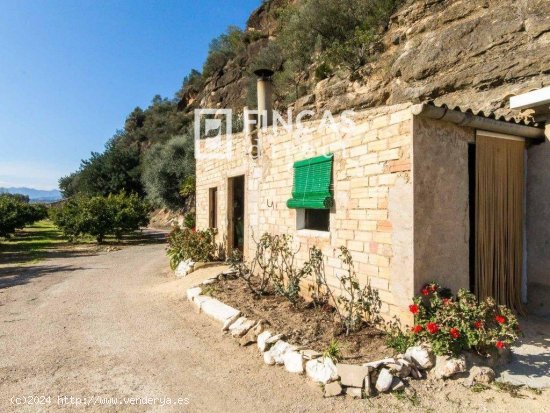  Finca en venta en Benifallet (Tarragona) 