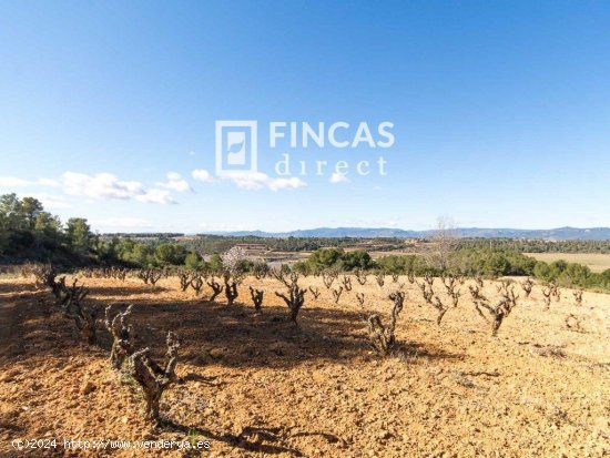 Finca en venta en Vila-rodona (Tarragona)