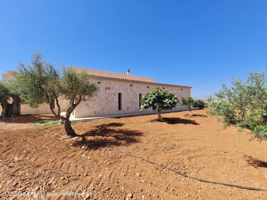 Finca en alquiler en Campos (Baleares)