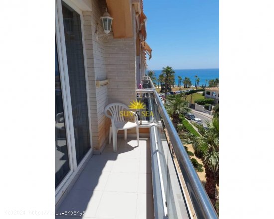  Apartamento en alquiler en Orihuela (Alicante) 