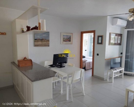 Apartamento en alquiler en Orihuela (Alicante)