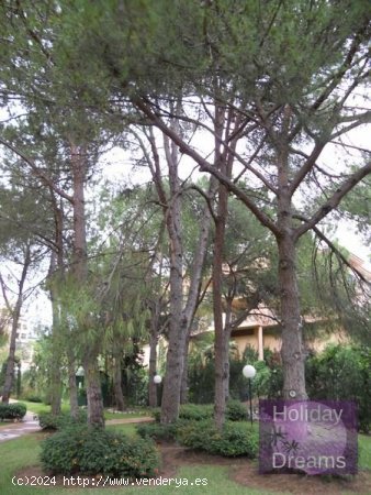 Apartamento en alquiler en Fuengirola (Málaga)