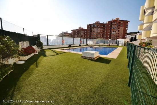 Estudio en alquiler en Fuengirola (Málaga)