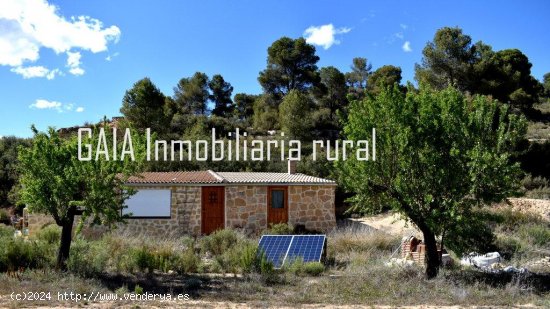 Finca en venta en Maella (Zaragoza)