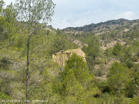 Casa en venta en Tivissa (Tarragona)