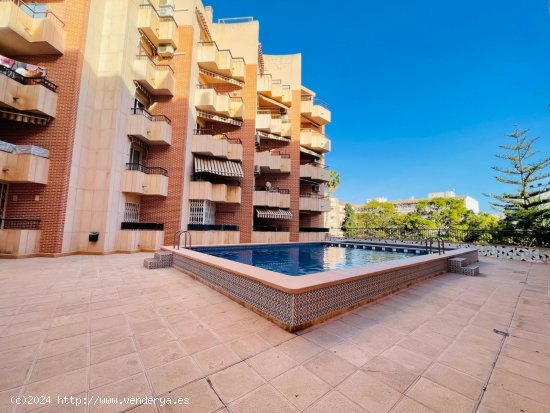  Apartamento en venta en Torrevieja (Alicante) 