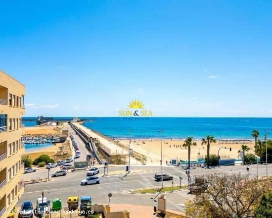  Apartamento en alquiler en Torrevieja (Alicante) 