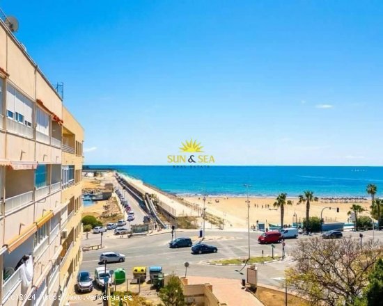 Apartamento en alquiler en Torrevieja (Alicante)