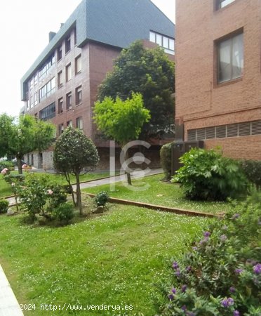 Apartamento en alquiler en Getxo (Vizcaya)