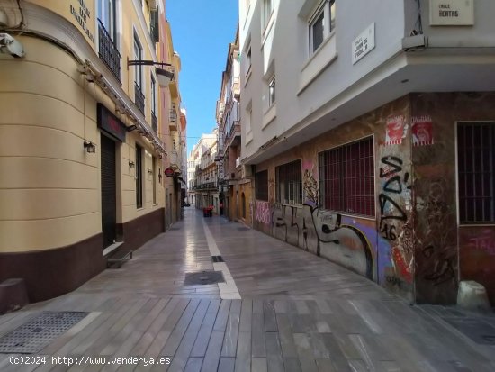 Piso en venta en Málaga (Málaga)