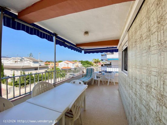 Apartamento en venta en Oliva (Valencia)