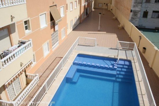 Apartamento en alquiler en Guardamar del Segura (Alicante)