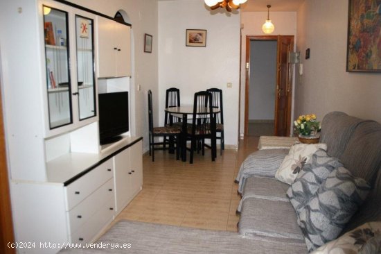 Apartamento en alquiler en Guardamar del Segura (Alicante)