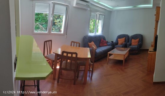 Apartamento en alquiler en Granada (Granada)