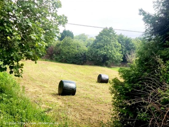 Parcela en venta en Tapia de Casariego (Asturias)