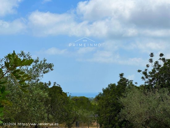 Finca en venta en El Perelló (Tarragona)