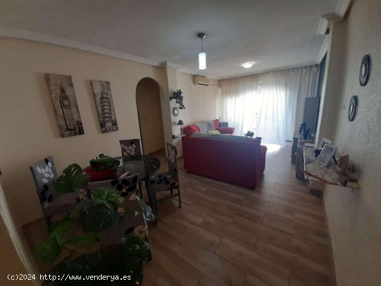 Apartamento en venta en Torrevieja (Alicante)