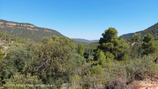  Finca en venta en Fuentespalda (Teruel) 