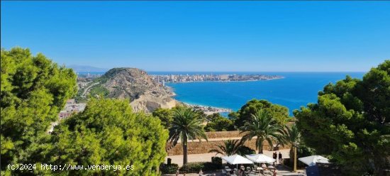  Apartamento en venta en Alicante (Alicante) 