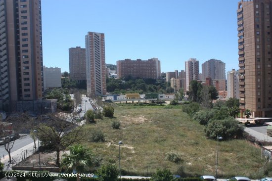  Apartamento en venta en Benidorm (Alicante) 