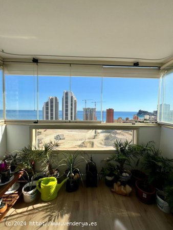 Apartamento en venta en Benidorm (Alicante)