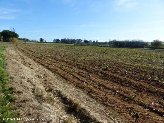 Parcela en venta en Caldes de Malavella (Girona)