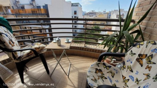 Apartamento en venta en Torrevieja (Alicante)