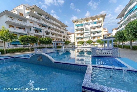 Apartamento en venta en Torrevieja (Alicante)