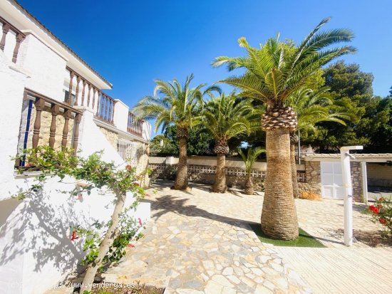 Villa en venta en Orihuela (Alicante)