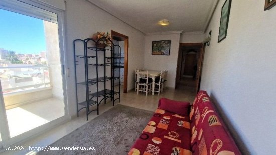 Apartamento en venta en Torrevieja (Alicante)