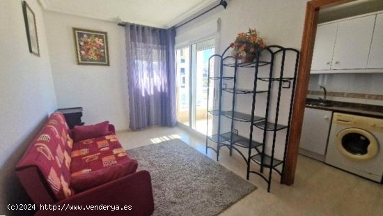 Apartamento en venta en Torrevieja (Alicante)