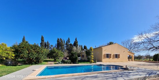  Finca en venta en Porreres (Baleares) 