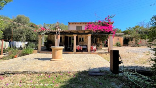 Finca en alquiler en Manacor (Baleares)