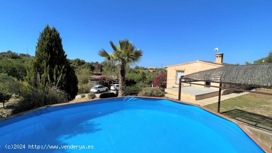 Finca en alquiler en Manacor (Baleares)