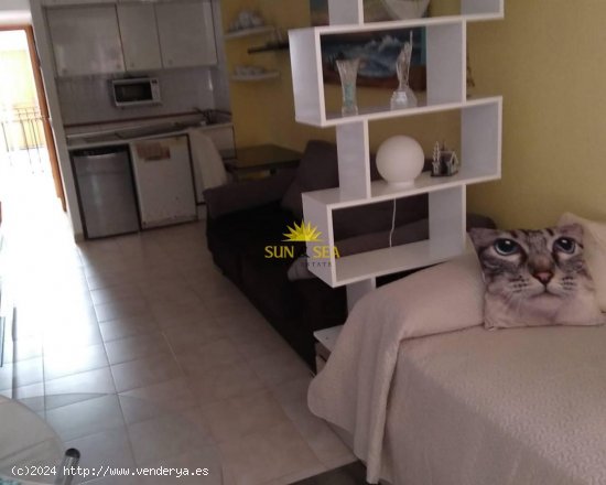 Estudio en alquiler en Torrevieja (Alicante)