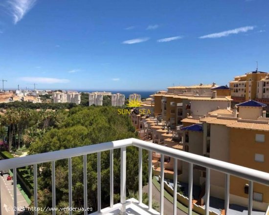 Apartamento en alquiler en Orihuela (Alicante)