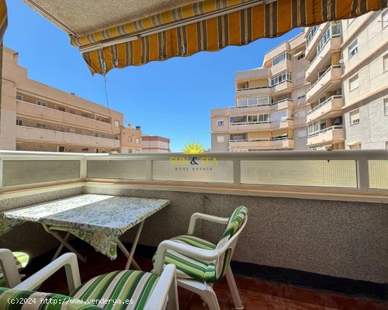 Apartamento en alquiler en Torrevieja (Alicante)