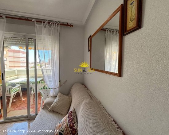 Apartamento en alquiler en Torrevieja (Alicante)