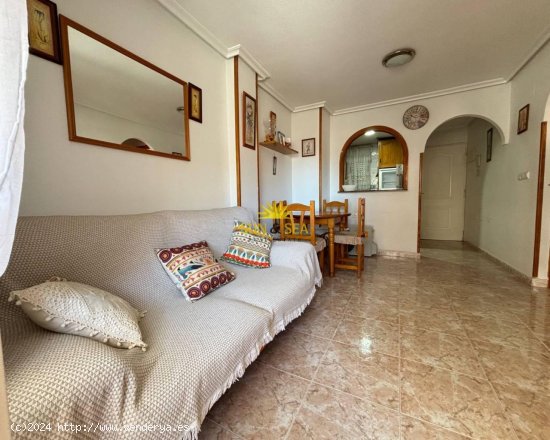 Apartamento en alquiler en Torrevieja (Alicante)