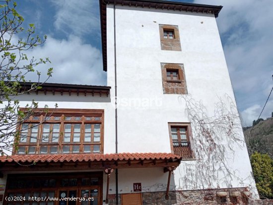 Edificio en venta en Tineo (Asturias)