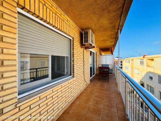 Apartamento en venta en Torrevieja (Alicante)