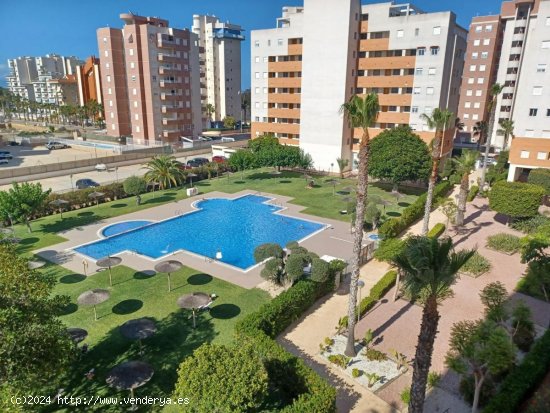 Apartamento en venta en Guardamar del Segura (Alicante)