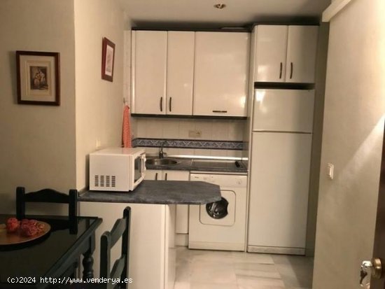 Apartamento en alquiler en Granada (Granada)