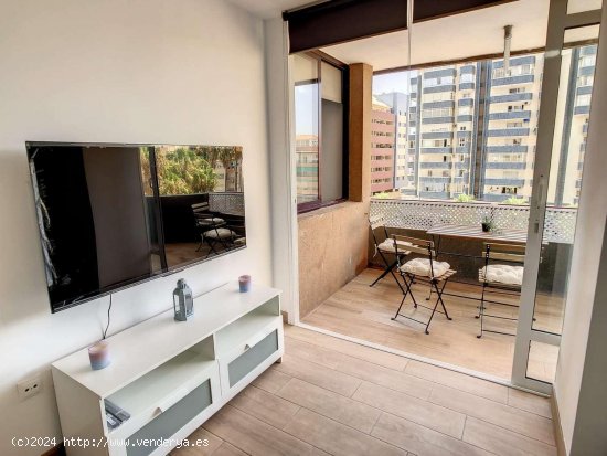 Apartamento en alquiler en Fuengirola (Málaga)