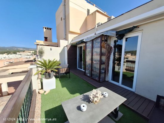 Apartamento en venta en Palma de Mallorca (Baleares)