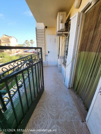 Apartamento en venta en Torrevieja (Alicante)