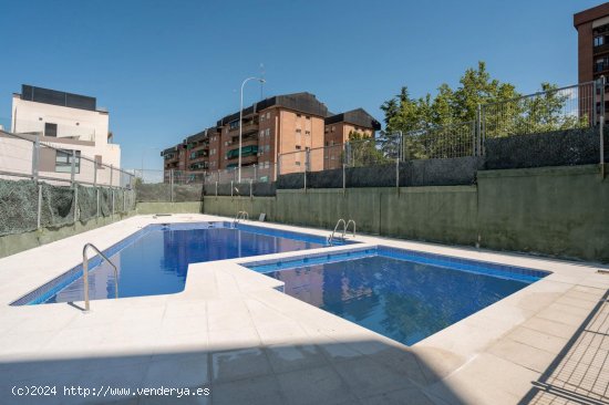 Piso en alquiler en Madrid (Madrid)