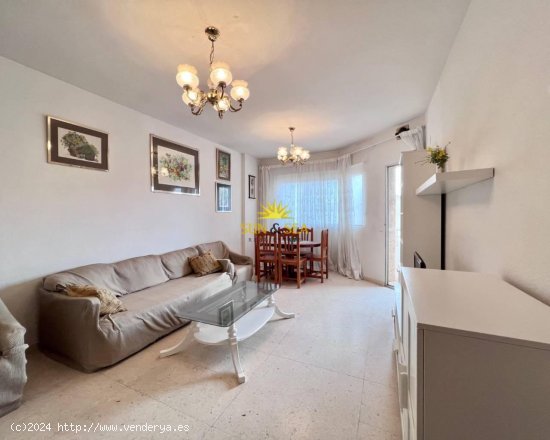 Apartamento en alquiler en Torrevieja (Alicante)